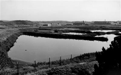 02501.jpg; 02501; nieuw noord; openbare weg