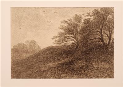 04152b.jpg; 04152; In de duinen bij Haarlem; lithografie