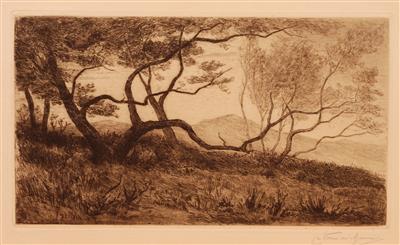 04164b.jpg; 04164; In de duinen bij Overveen; ets