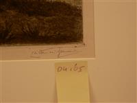 04165c.jpg; 04165; Boomgroep in de duinen bij Overveen; ets