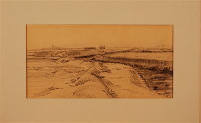 04219b.jpg; 04219; Polder in Schouwen; landschap