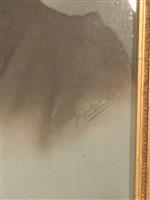 04526c.jpg; 04526; Aaltje Kemp-Drommel; Fotografie