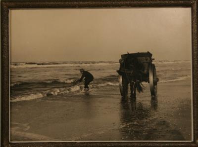 04584b.jpg; 04584; schelpenvisser; Fotografie