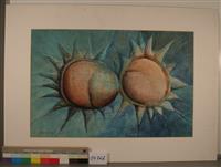 04762a.jpg; 04762; onbekend; tekening