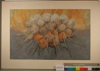 04791a.jpg; 04791; Groente; tekening