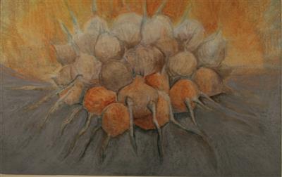 04791b.jpg; 04791; Groente; tekening