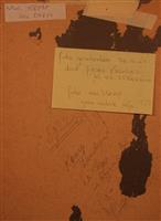 04804d.jpg; 04804; ; persoon