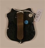 04831c.jpg; 04831; Brandmeester, Brandweer Zandvoort; embleem