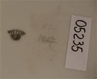 05235d.jpg; 05235; Souvenir Zandvoort Strandpanorama; gebruiksvoorwerp