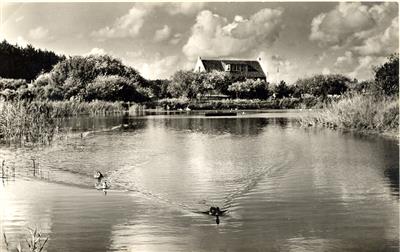 09593.jpg; 09593; Vijverpark; ansichtkaart