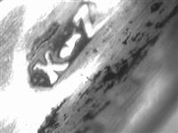 10005.1_D.bmp; 10005.01=02; ; sigarenaansteker