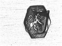 10047_B.bmp; 10047; Dienblad; blad