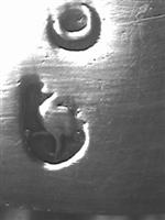 10052_1.bmp; 10052; Missaal; missaal