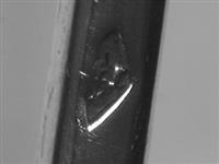 10064_D.bmp; 10064; Soeplepel; soeplepel