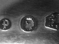 10089.1_A.bmp; 10089.01; Fruitschep; fruitschep