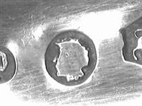 10089.2_A.bmp; 10089.02; Fruitschep; fruitschep