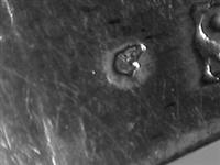 10091_3.bmp; 10091; Suikerstrooilepel; suikerstrooilepel