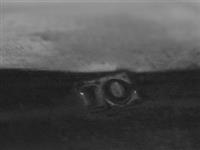 10109_1.bmp; 10109; Suikerschep; suikerschepje