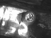 10150_C.bmp; 10150; Pillendoosje; pillendoosje