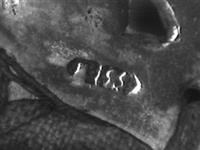 10158_1.bmp; 10158; Beugeltas; beugeltas