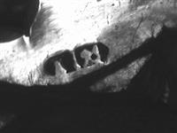10158_2.bmp; 10158; Beugeltas; beugeltas