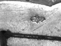 10158_3.bmp; 10158; Beugeltas; beugeltas