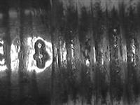 10168.a_1.bmp; 10168; Naaldenkoker; naaldenkoker