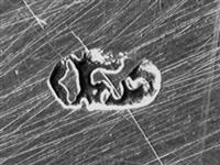 10180_B.bmp; 10180; Dienblad; dienblad