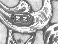 10239.1_D.bmp; 10239.01; ; taartschep