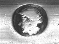 10259.17_A.jpg; 10259.17; IJsschep; ijsschep