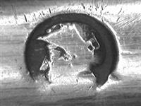 10259.21_A.jpg; 10259.21; Kaasmes; kaasmes