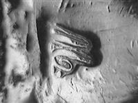 10563_C.jpg; 10563; Zilveren geboortelepel; geboortelepel