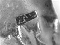 10567_D.bmp; 10567; Zilveren suikerschepje; suikerschepje