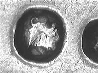 10584.1_A.jpg; 10584.01; Zilveren kinderlepel; kinderlepel