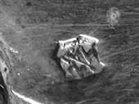 10623_D.jpg; 10623; Zilveren geboortelepel; geboortelepel