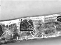 10658_D.jpg; 10658; Wilhelmina theelepel; wilhelminalepel