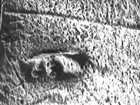 10811_D2.bmp; 10811; Zilveren lodereindoosje; lodereindoosje