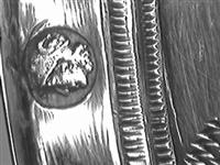 10956_A.jpg; 10956; Zilveren theezeef; theezeef