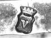 11230_E.bmp; 11230; beursbeugel; beursbeugel