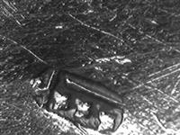 11516_A.bmp; 11516; miniatuur jongen met vlieger; miniatuurfiguur