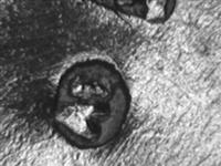 11516_D.bmp; 11516; miniatuur jongen met vlieger; miniatuurfiguur