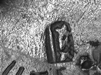 11538.a_A.bmp; 11538; miniatuur theebus; miniatuurservies