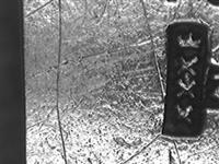 11553_A.bmp; 11553; ;