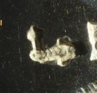 11590.9_B.jpg; 11590.09; ;