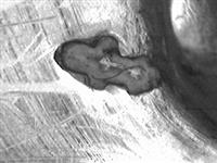 11651.1_B.jpg; 11651.01=02; ; oestervork
