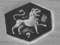 11658_B.bmp; 11658; IJsschep; ijsschep