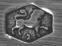 11670_B.jpg; 11670; Zilveren natfruitlepel; fruitlepel