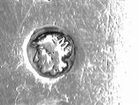 11671_A.bmp; 11671; zilveren suikerstrooilepel; suikerstrooilepel