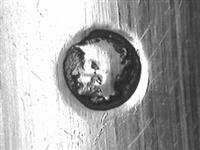 11675_A.bmp; 11675; zilveren fruitlepel; fruitlepel