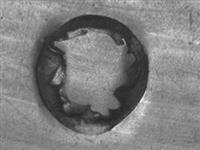 11676_A.jpg; 11676; zilveren fruitlepel; fruitlepel